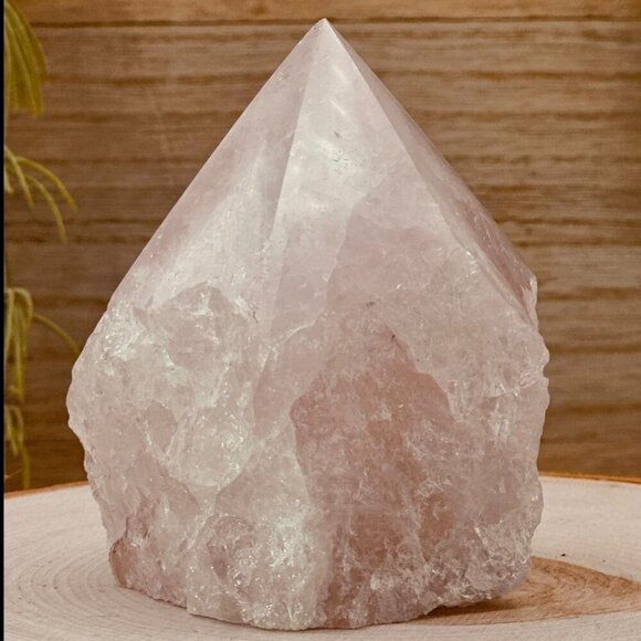 Rose Quartz Crystal Generator Point with a Rough Base Polished Point - 534g - Picture 3 of 15